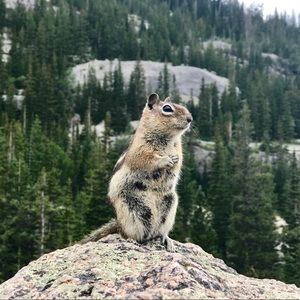 Meet your Posher, Brett